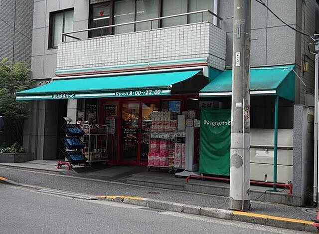 周辺 ブランズ麻布狸穴町 5階/-