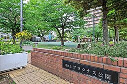 港区立プラタナス公園 410m