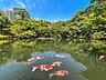 周辺：八芳園 556m
