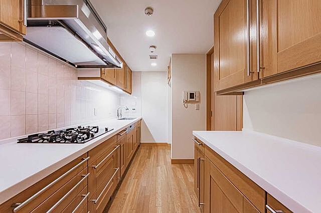 キッチン 元麻布ヒルズフォレストタワー 22階/-