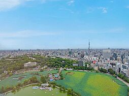 屋上から