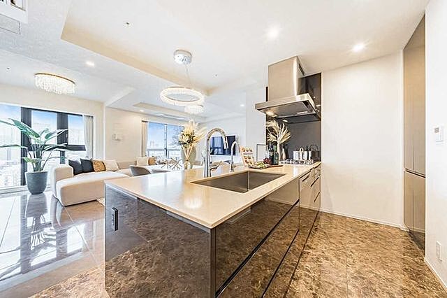 キッチン ザ・パークハウス高輪タワー 17階/-