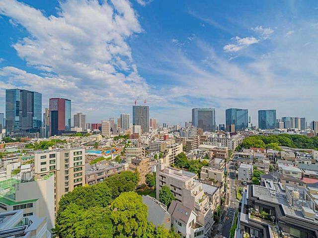 その他 ザ・パークハウス高輪タワー 17階/-