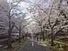 周辺：仙台堀川公園（隣接） 30m