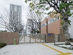 区立港南小学校 350m