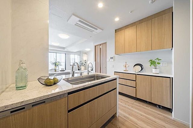 キッチン プラウドタワー芝浦 24階/-