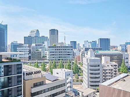 東京タワービュー(天候による)