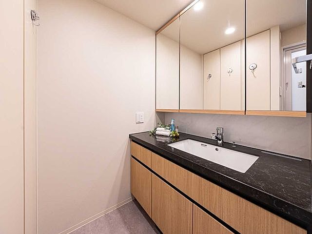 洗面 プラウドタワー芝浦 15階/-