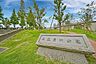 周辺：区立豊洲公園 800m