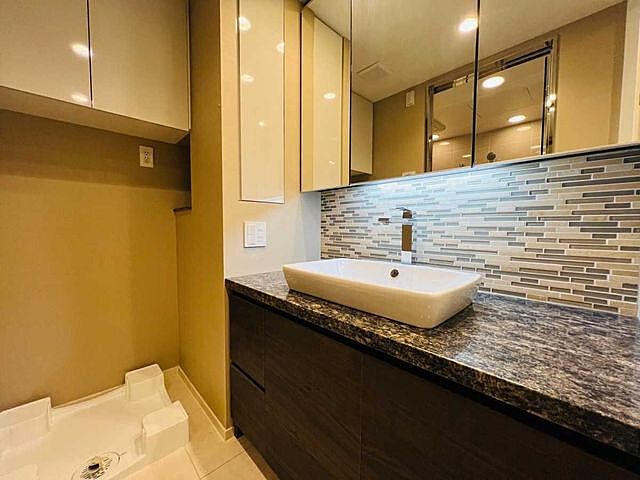 洗面 シティタワー虎ノ門 11階/-