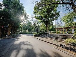 新宿中央公園 550m