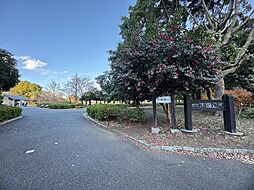 都立木場公園 70m