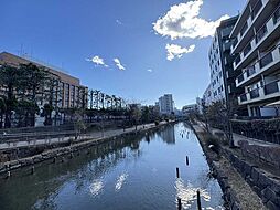 木場親水公園 10m