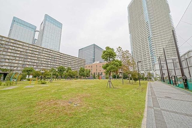 周辺 パークタワー晴海 48階/-