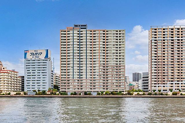 外観 東京アインスリバーサイドタワー 19階/-