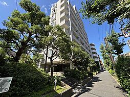 東急ドエル・アルス等々力ネクステージ