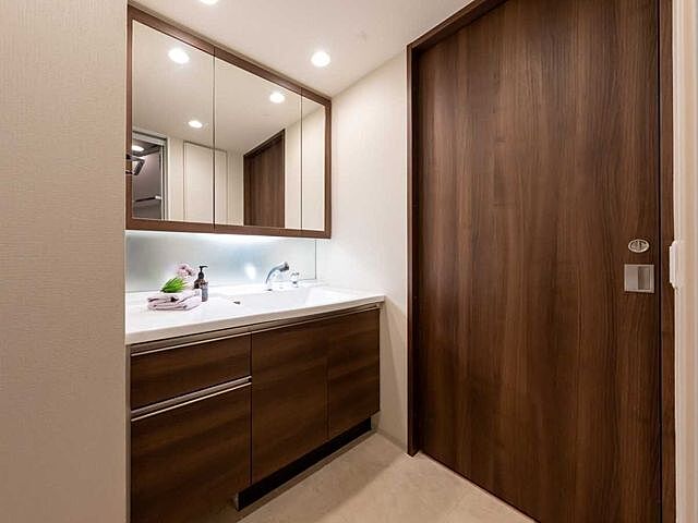 洗面 プラウドシティ大田六郷フォレスト街区棟 3階/-