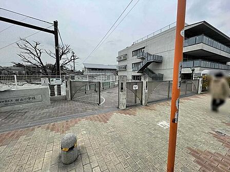 区立桜丘小学校 550m