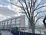 周辺：日本大学櫻丘高等学校 550m