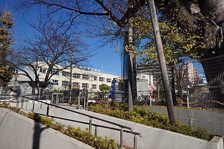 中野区立桃花小学校 900m