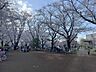 周辺：福岡中央公園 10m
