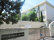  光が丘四季の香小学校 70m