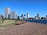 周辺：晴海臨海公園 270m