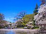 周辺：井の頭恩賜公園 400m