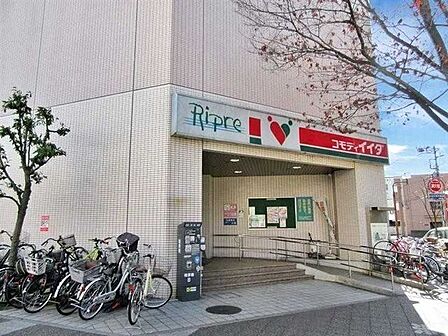  コモディイイダ川口リプレ店 170m