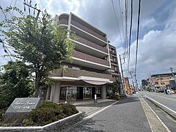 アンビシャス柏