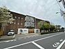 周辺： 武蔵野市立仙川小学校 707m
