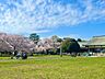 周辺：都立小金井公園 630m