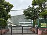 周辺：横浜市立笠間小学校 350m