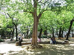 西池袋公園 120m