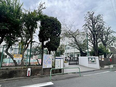 区立江戸川小学校 300m