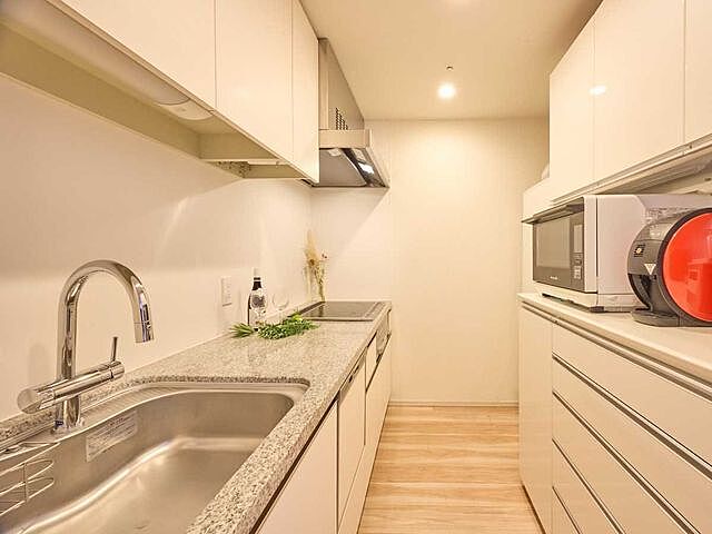 キッチン ザ・パークハウス西新宿タワー60 38階/-