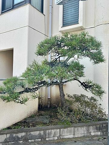 その他 足立区栗原2丁目