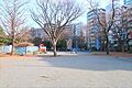 神奈川公園まで...