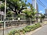 その他：現地写真＿2025年6月撮影