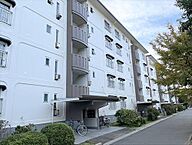 神奈川県平塚市高村：物件画像