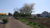 神奈川県藤沢市遠藤：物件画像