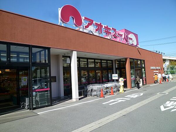 画像23:【スーパー】アオキスーパー 豊明店まで1172ｍ