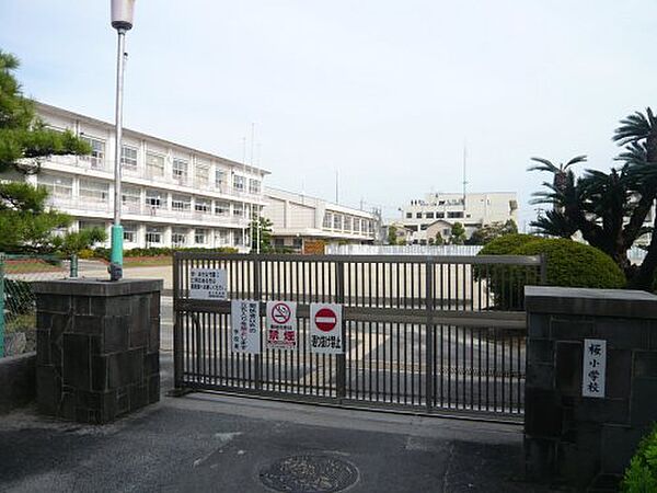 画像14:【小学校】弥富市立桜小学校まで529ｍ