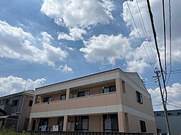 プティ　プラタナス