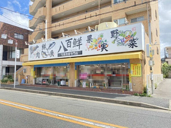 画像23:【スーパー】生鮮食材専門店　八百鮮　川原通店まで848ｍ