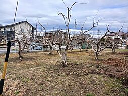 物件画像 古橋土地