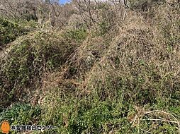 物件画像 不動産販売　愛媛総合1914　土地　今治市吉海町名