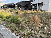 西から