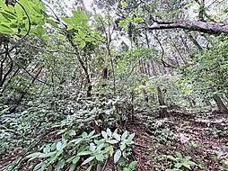 物件画像 遠賀郡岡垣町大字原 土地