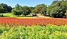 周辺：森林公園 西口ひろば